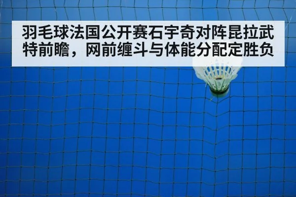 badminton net shot