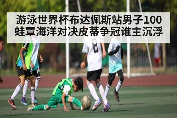 游泳世界杯布达佩斯站男子100蛙覃海洋对决皮蒂争冠谁主沉浮 - kaiyun